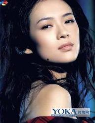 博客明星,网络时代的璀璨星辰