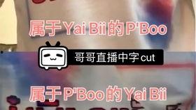 搞笑泰语 中文,中文翻译笑料百出