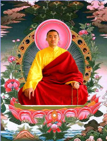 慈天照片,捕捉人间温情瞬间